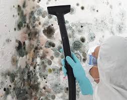 Best Mold Documentation for Insurance Claims in Canastota, NY